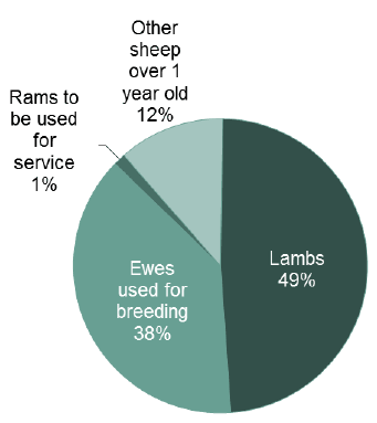 Chart 16: Sheep population, June 2016 