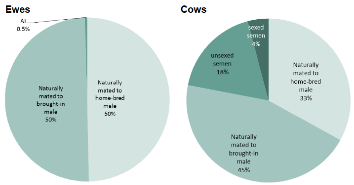 Chart 13: Proportion of animals mated using various methods