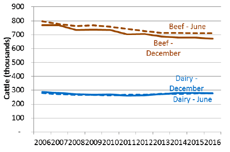 Chart 6: Beef and Dairy cattle, June and December, 2006 to 2016