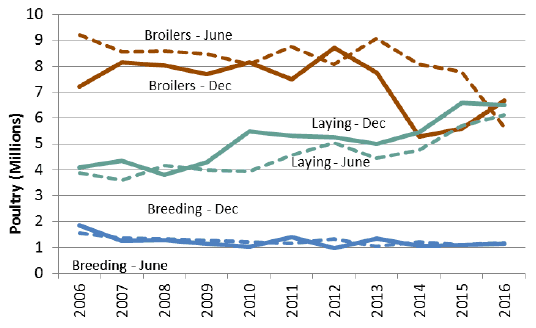 Chart 9: Poultry, June and December 2006 to 2016