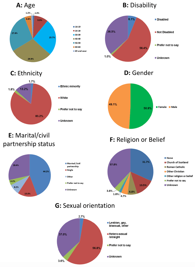 Chart 4. Diversity of directly employed staff at the end of December 2016