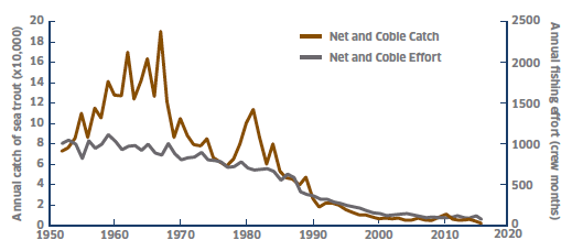 Figure 4: Net And Coble Fishery