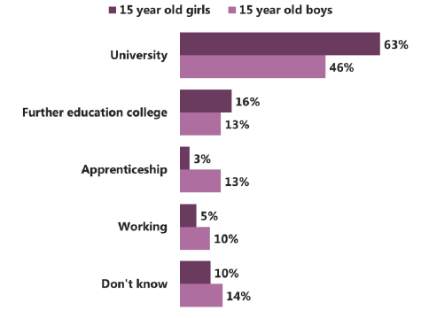 Figure 2.5 Post-school expectations among 15 year olds, by gender (2015) 