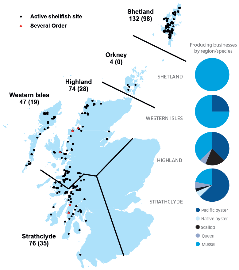 Figure 2: Regional distribution of active shellfish sites in 2016 (number producing given in brackets) and number of producing businesses by region/species.