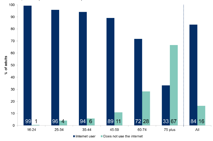Figure 7.6: Use of internet by age