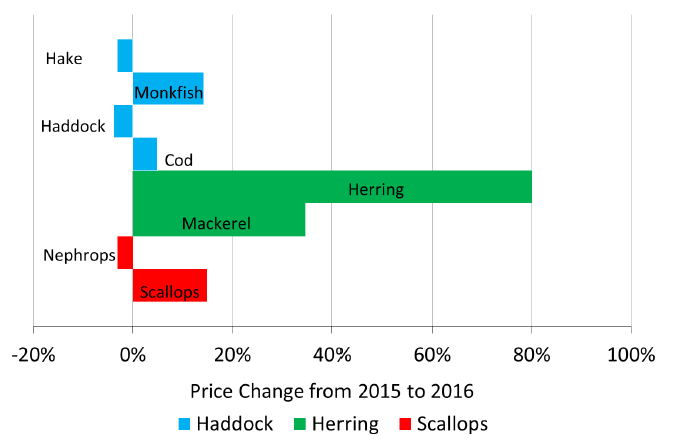 Chart 1.4 Percentage change from 2015 to 2016 in the real term price per tonne obtained for key fish species