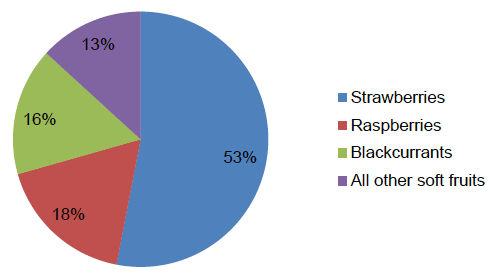 Figure 2: Soft fruit areas 2016 (Percentage of total area)