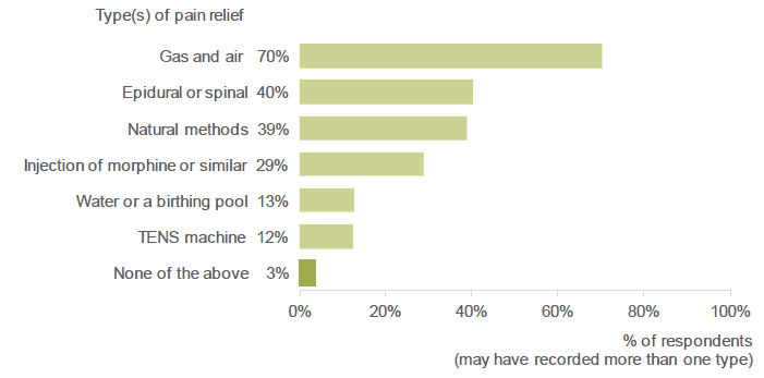 Figure 3.2: During your labour or birth, did you use any of the following methods to relieve the pain? (Percentage of respondents who reported using each type of pain relief).