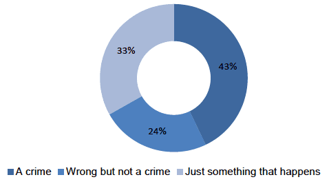 Figure 3.12: Victim's description of violent crime incidents experienced