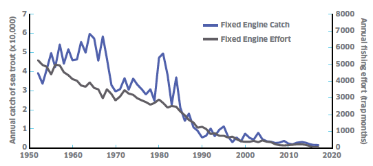 Figure 3: Fixed Engine Fishery.