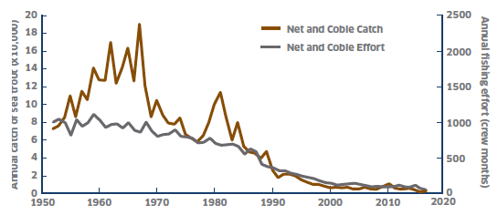 Figure 4: Net And Coble Fishery.