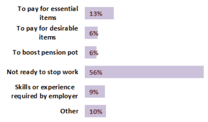 Chart 20: Reasons for working for those aged 65 years and over in Employment