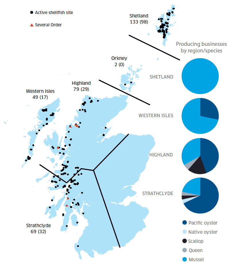 Figure 2 - Regional Distribution of Active Shellfish Sites in 2017 (Number Producing Given in Brackets) and Number of Producing Businesses by Region/Species.