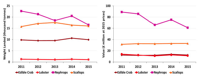 Chart 1.5.c Quantity and value of landings of the key shellfish species by Scottish vessels: 2011 to 2015 