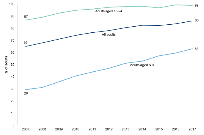 Figure 7.6: Use of internet by year and age
