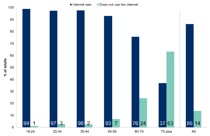 Figure 7.7: Use of internet by age