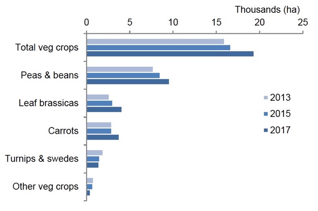 Figure 1 Area of vegetable crops grown in Scotland 2013-2017