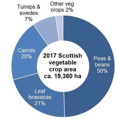 Figure 2 Vegetable crop areas 2017 (percentage of total area)