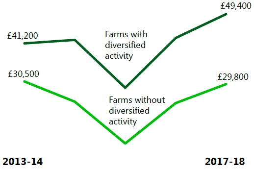 Farms that diversify business activity earn more money