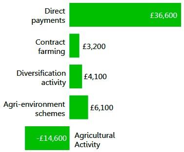 Direct payments make up the largest source of farm income