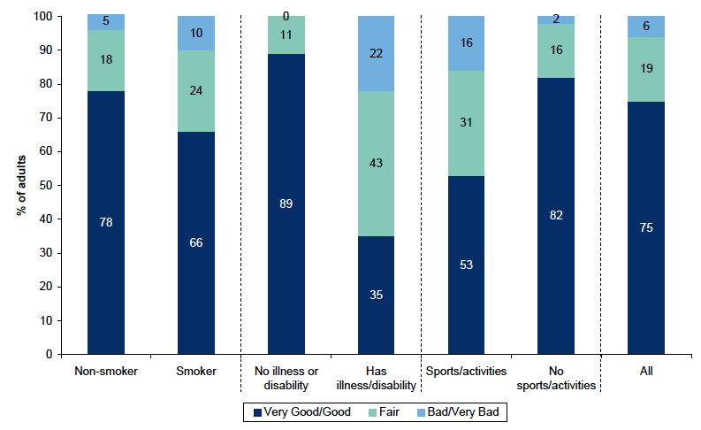 Figure 10.12: Self perception of health by smoking, illness or disability and whether has done physical activity in the past four weeks Figure 10.12: Self perception of health by smoking, illness or disability and whether has done physical activity in the past four weeks