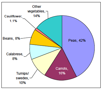 Chart 9: Vegetables for Human Consumption, 2012 Chart 9: Vegetables for Human Consumption, 2012