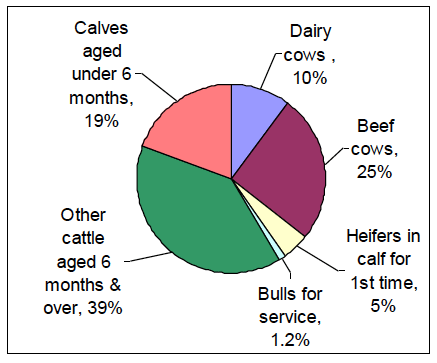 Chart 13: Cattle population, June 2012 Chart 13: Cattle population, June 2012
