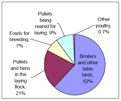 Chart 19: Poultry population, June 2012 Chart 19: Poultry population, June 2012