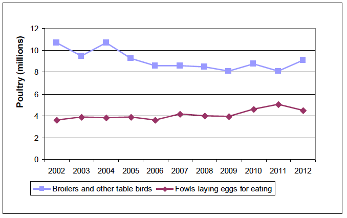 Chart 20: Trends in Broiler and Table Birds, and Fowls for producing eggs, 2002 to 2012 Chart 20: Trends in Broiler and Table Birds, and Fowls for producing eggs, 2002 to 2012