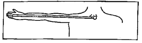 Figure 4 The Demispan Measurement Figure 4 The Demispan Measurement