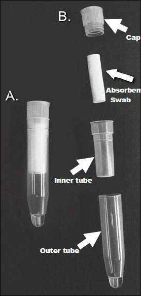 Figure 7 'A': an assembled salivette, 'B': the various components Figure 7 'A': an assembled salivette, 'B': the various components