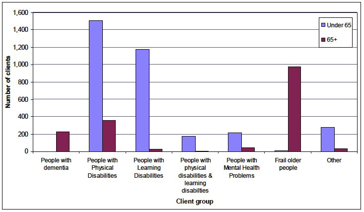 Chart 2: Number of people receiving Self-directed Support (Direct payments) packages by client group and age, 2012 Chart 2: Number of people receiving Self-directed Support (Direct payments) packages by client group and age, 2012