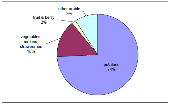 Chart 6: Irrigated area (in last twelve months) by type of crop Chart 6: Irrigated area (in last twelve months) by type of crop