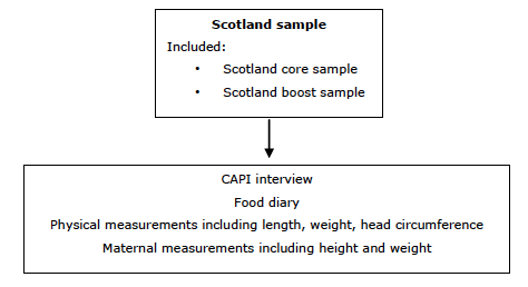 Figure 2.A. Summary of stages included in DNSIYCS