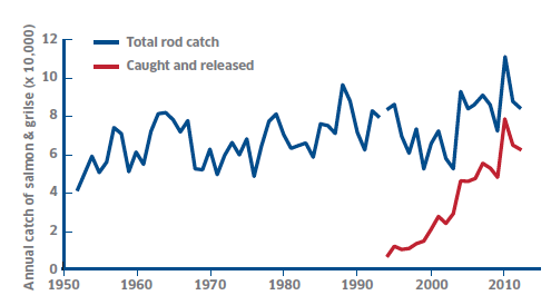 Figure 1 Rod and line fishery