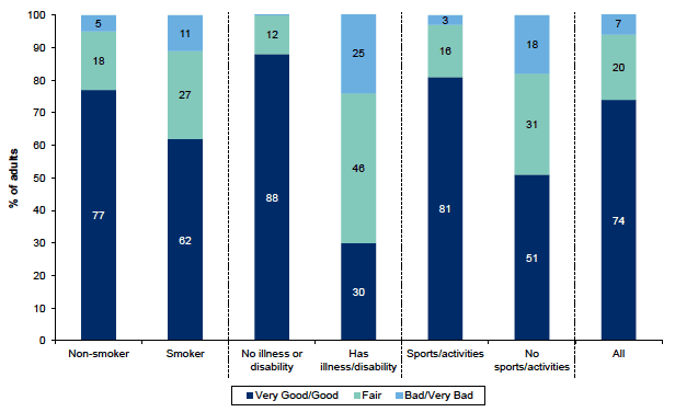 Figure 10.10: Self perception of health by smoking, illness or disability and whether has done physical activity in the past four weeks Figure 10.10: Self perception of health by smoking, illness or disability and whether has done physical activity in the past four weeks