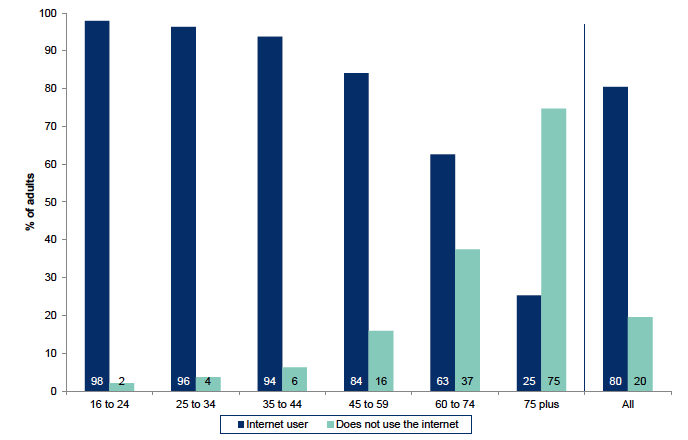 Figure 8.6: Use of internet by age