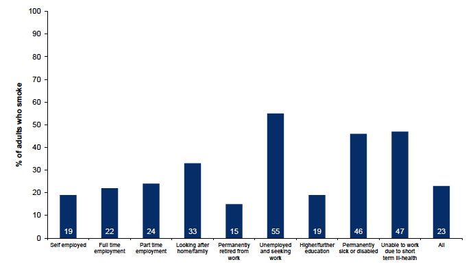 Figure 9.3: Percentage of respondents who smoke, by economic status