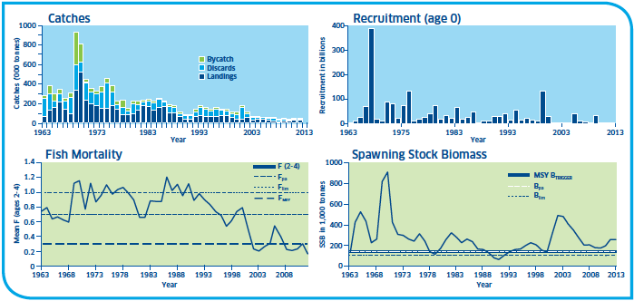 Haddock Stocks North Sea