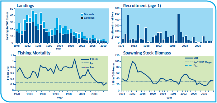 Haddock Stocks West of Scotland Haddock Stocks of West of Scotland