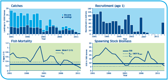 Haddock Stocks Rockall Haddock Stocks Rockall