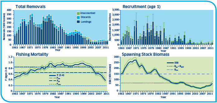 Cod Stocks North Sea