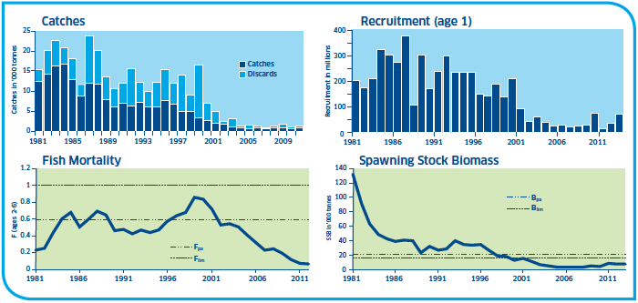 Whiting Stocks North Sea