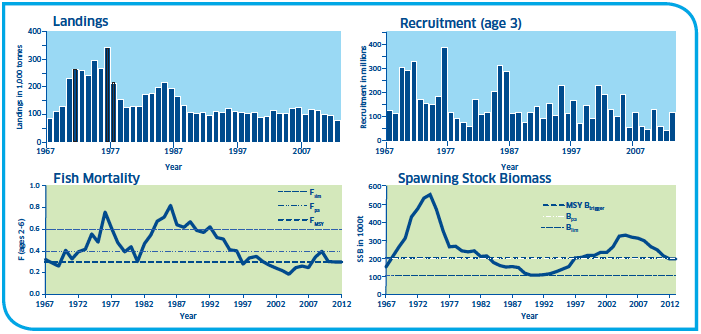 Saithe Stocks Saithe Stocks