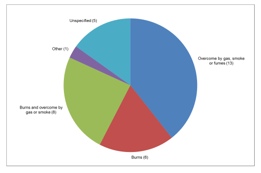 Chart 11 - Fire fatalities by cause of death, Scotland, 2013-14