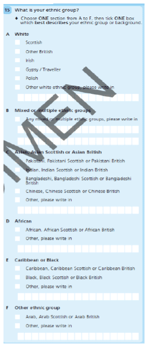 Ethnicity Ethnicity