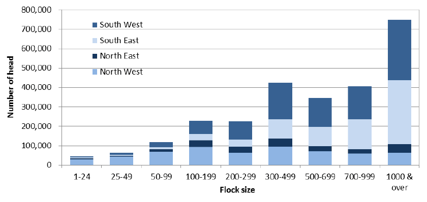 Chart 5.15: Breeding sheep, by size group and region, June 2014