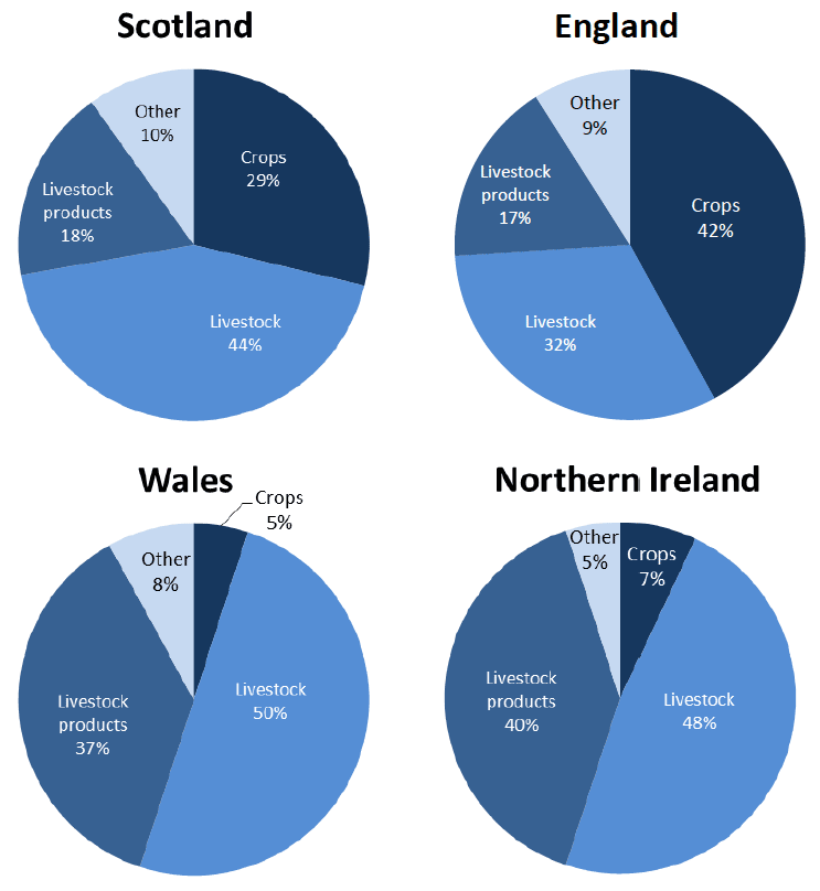 Chart 8.4: Comparison of relative importance of sector to total output, by country, 2014