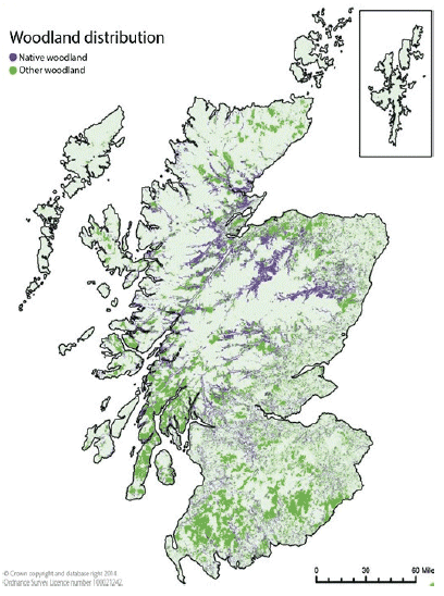 Map - Woodland distribution
