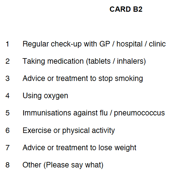 Showcard B2